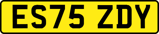 ES75ZDY