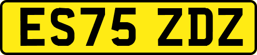 ES75ZDZ