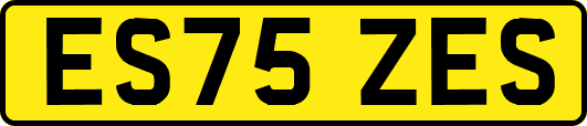 ES75ZES