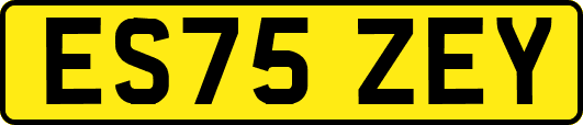 ES75ZEY