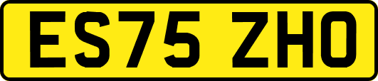 ES75ZHO