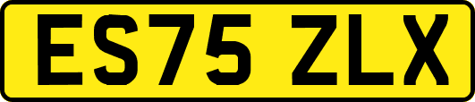 ES75ZLX