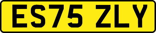 ES75ZLY