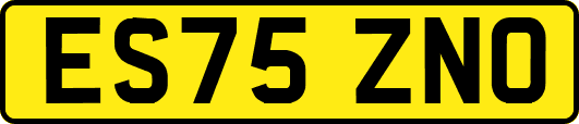 ES75ZNO