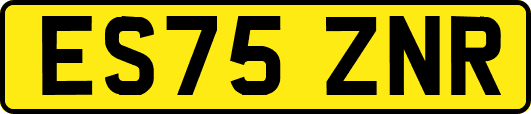 ES75ZNR