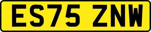 ES75ZNW