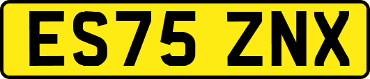 ES75ZNX