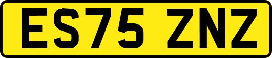 ES75ZNZ