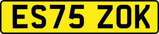 ES75ZOK