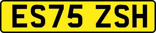 ES75ZSH