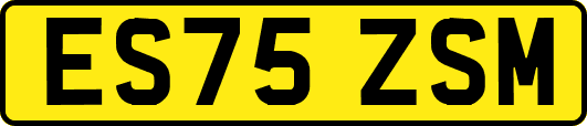 ES75ZSM