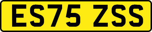 ES75ZSS