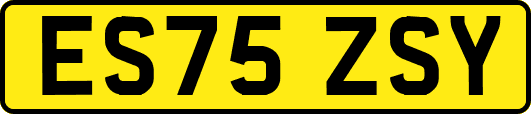 ES75ZSY