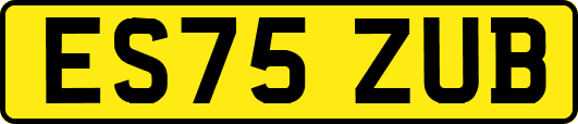 ES75ZUB