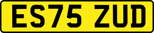 ES75ZUD