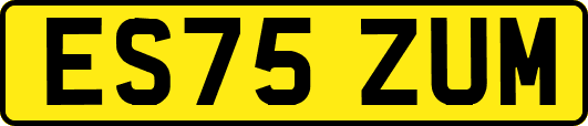ES75ZUM