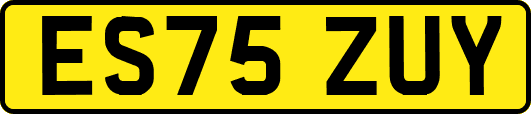 ES75ZUY