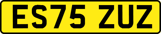 ES75ZUZ