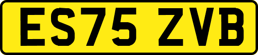 ES75ZVB