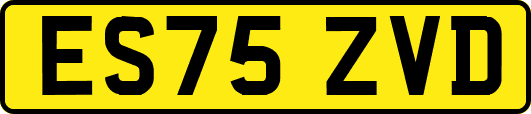 ES75ZVD