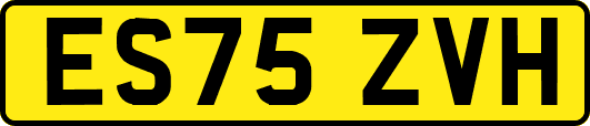 ES75ZVH