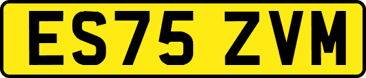 ES75ZVM