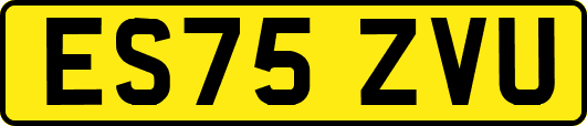 ES75ZVU