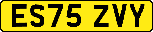 ES75ZVY