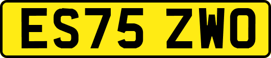 ES75ZWO