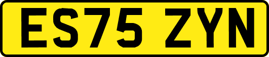 ES75ZYN