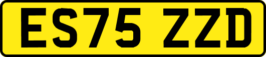 ES75ZZD