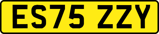 ES75ZZY