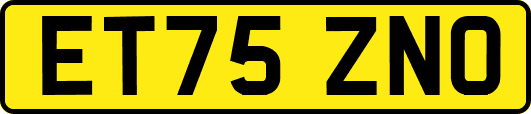 ET75ZNO