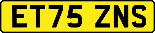 ET75ZNS