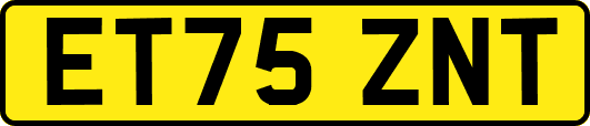 ET75ZNT