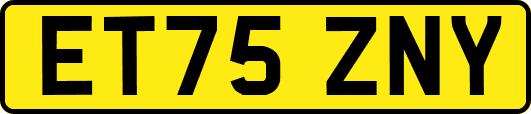 ET75ZNY