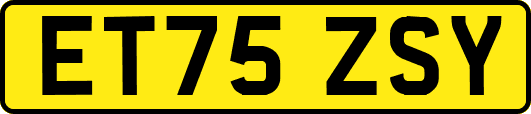 ET75ZSY