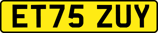 ET75ZUY