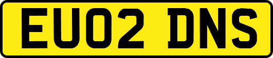 EU02DNS
