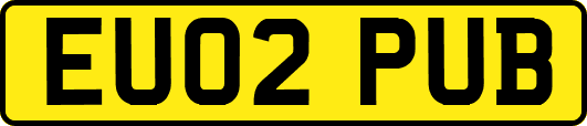 EU02PUB