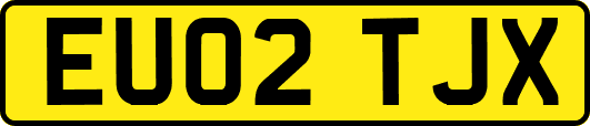 EU02TJX