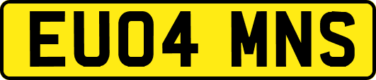 EU04MNS