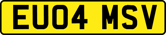EU04MSV