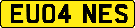 EU04NES