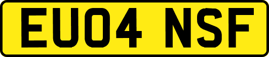 EU04NSF