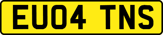 EU04TNS