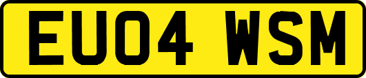 EU04WSM