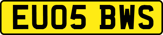 EU05BWS