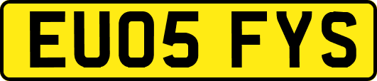 EU05FYS