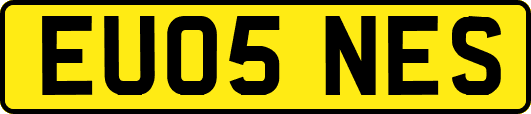 EU05NES
